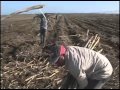 Sistemas De Riego En Colombia