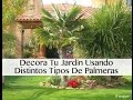 Decoracion De Jardines Pequeños Con Palmeras