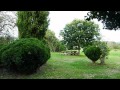 Plantas Ornamentales Galicia