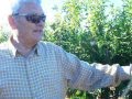 Arboles Frutales Rentables