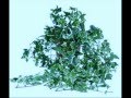 Venta De Plantas Ornamentales En Bogota