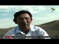 Sistemas De Riego En Zonas Deserticas