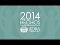 Mision Y Vision De Huertos Familiares