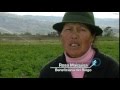 Sistemas De Riego Del Norte