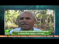 Huertos Familiares Pequeños
