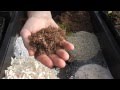 Como Hacer Sustrato Para Plantas Carnivoras