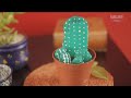 Decoracion De Jardines Con Piedras Y Cactus