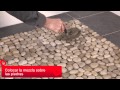 Decoracion De Jardines Con Lajas