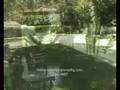 Arboles Frutales Que Dan Sombra