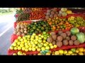 Venta Arboles Frutales Tropicales