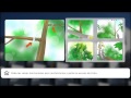 Arboles Frutales Informacion