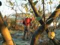 Arboles Frutales Cuidados Melocotonero