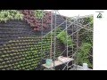 Diseño De Jardines Horizontales