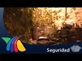 Sistemas De Riego Zapopan