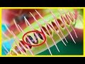 Plantas Carnivoras Ojo Cientifico