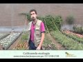 Plantas Ornamentales Peru