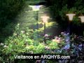 Arbustos Ornamentales Para Jardines