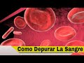 Plantas Curativas Para El Riñon