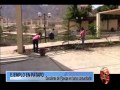 Plantas Ornamentales De La Zona Norte