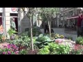 Arbustos Ornamentales Olorosos