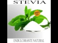 Plantas Ornamentales Frutales Y Medicinales