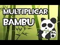 Decoracion De Jardines Con Cañas De Bambu