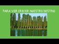 Beneficios De Sembrar Arboles Frutales