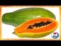 Arboles Frutales Y Sus Beneficios