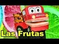 Nombres De Arboles Frutales Chilenos
