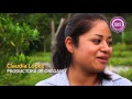 Antecedentes De Los Huertos Familiares En Mexico