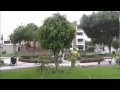 Poda De Arboles Y Arbustos Ornamentales