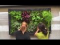 Diseño De Jardines Horizontales
