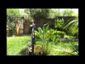 Arbustos Ornamentales De Misiones
