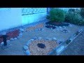 Diseño De Jardines Secos