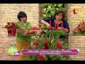 Arreglos Florales Navidad