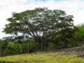 Sistemas De Riego Jalisco