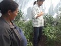 Huertos Familiares En Jalisco