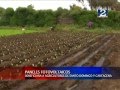 Sistemas De Riego Fotovoltaico