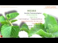 Plantas Curativas Con Nombres