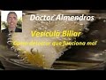 Plantas Curativas Para La Vesicula Biliar