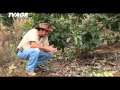 Sistemas De Riego Guatemala