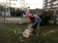 Decoracion De Jardines Con Troncos De Madera