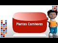 Plantas Carnivoras Y Su Adaptacion