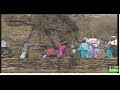 Arboles Frutales Autoctonos De Andalucia