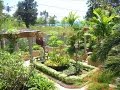 Diseño De Jardines En Puerto Rico