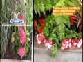Paisajismo Y Decoracion De Jardines Sustentables
