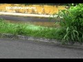 Sistemas De Riego Merida Yucatan