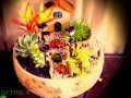 Diseño De Jardines Con Cactus Y Suculentas