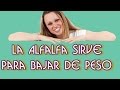 Plantas Curativas Para Bajar De Peso