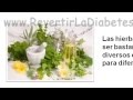 Plantas Curativas Para La Diabetes